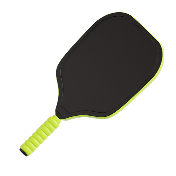pickleball paddle pickleball paddle